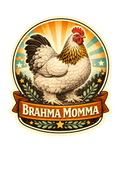Brahma Momma Chicken Sticker – Vintage Sunburst Hen Decal (3”)