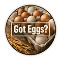 Got Eggs? Farm Fresh Egg Sticker – Rustic Chicken Lover Decal (3”)
